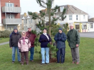 Havant Tree Volunteers