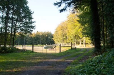 Site at Markwells Wood