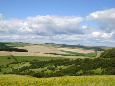 Alexander Temerko has reassured green campaigners he has no plans to dig up the South Downs